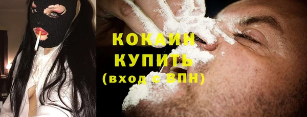 дурь Бронницы