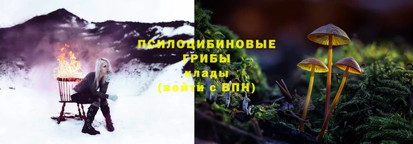 дурь Бронницы