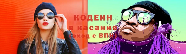 крисы Бугульма