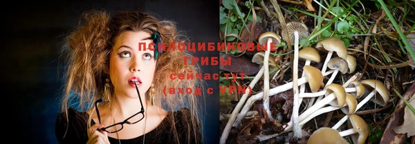 дурь Бронницы