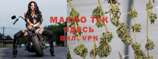 крисы Бугульма